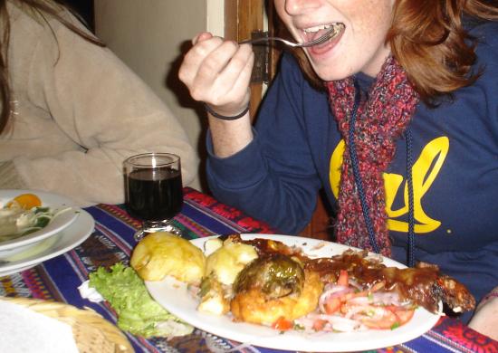 Would You Eat Guinea Pig?
